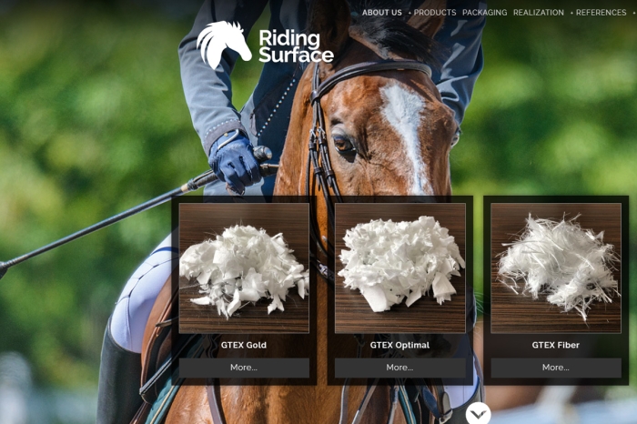 Náhled webu Riding Surface